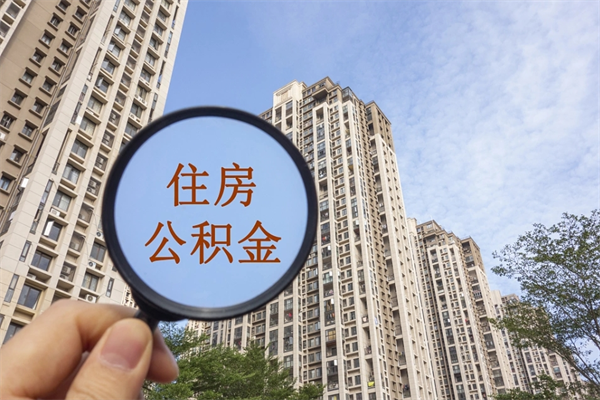 山东深圳公积金（深圳公积金首页）